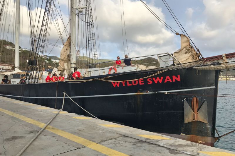 Wylde Swan
