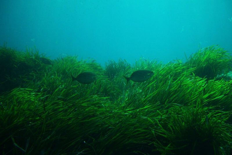 Extension du Port et Environnement